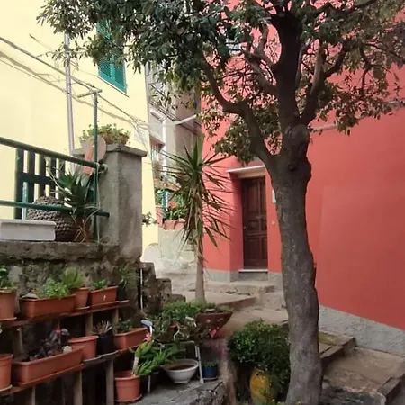 Daire Piazzetta Vittoria *